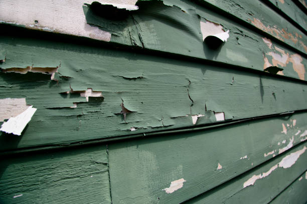 Best Historical Building Siding Restoration  in Muskego, WI