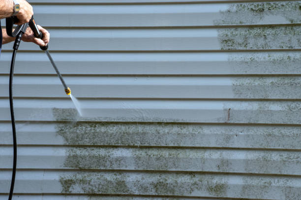 Best Custom Siding Design  in Muskego, WI